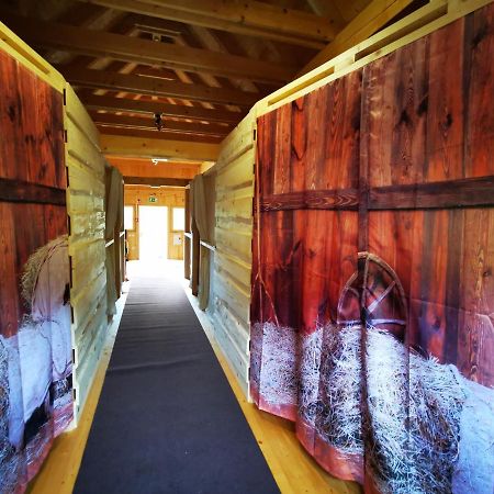 Kamp Beli Gaber Stari Trg pri Lozu Exterior foto