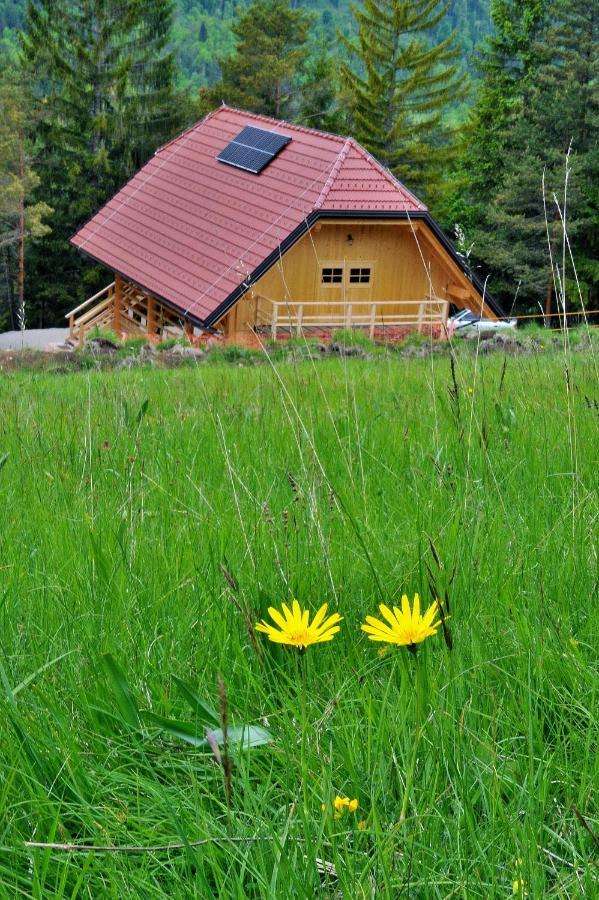 Kamp Beli Gaber Stari Trg pri Lozu Exterior foto
